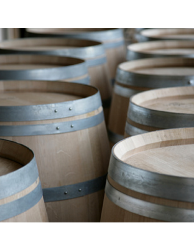 VERNIS DE PROTECTION INERTE À COV0+:  TONNEAUX, BARRIQUES, FOUDRES, TOUTES MENUISERIES EN CAVE.