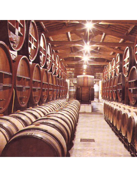 TRAITEMENT INSECTICIDE ET FONGICIDE