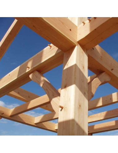 TRAITEMENT INSECTICIDE ET FONGICIDE