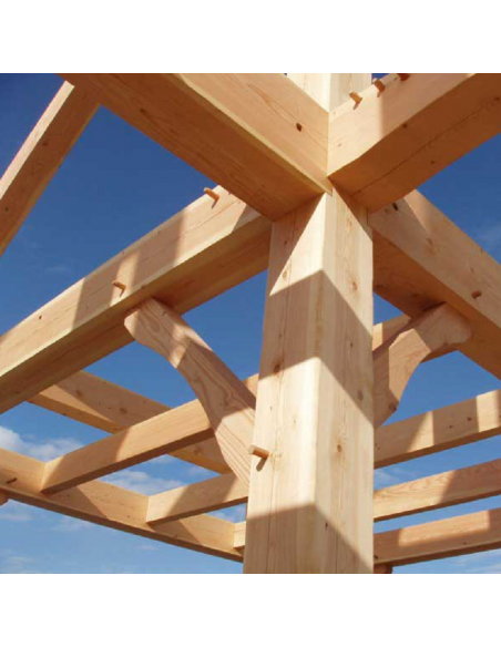 TRAITEMENT INSECTICIDE ET FONGICIDE