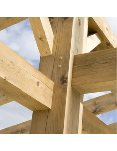 TRAITEMENT INSECTICIDE ET FONGICIDE