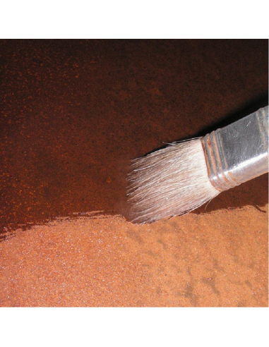 TRANSFORMATEUR DE ROUILLE À L'EAU