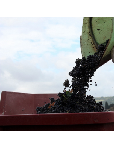 PEINTURE ANTICORROSION SPÉCIALE CONTACT ALIMENTAIRE POUR FER ET BOIS