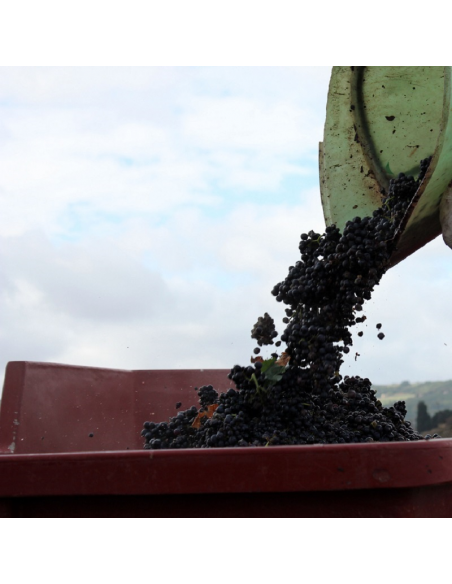 PEINTURE ANTICORROSION SPÉCIALE CONTACT ALIMENTAIRE POUR FER ET BOIS