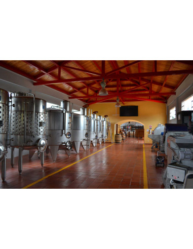 VERNIS ECRAN SPECIAL CHAIS