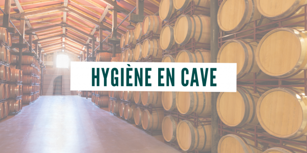 Hygiène en cave : et si les parois devenaient un levier de maîtrise des équilibres microbiologiques ?
